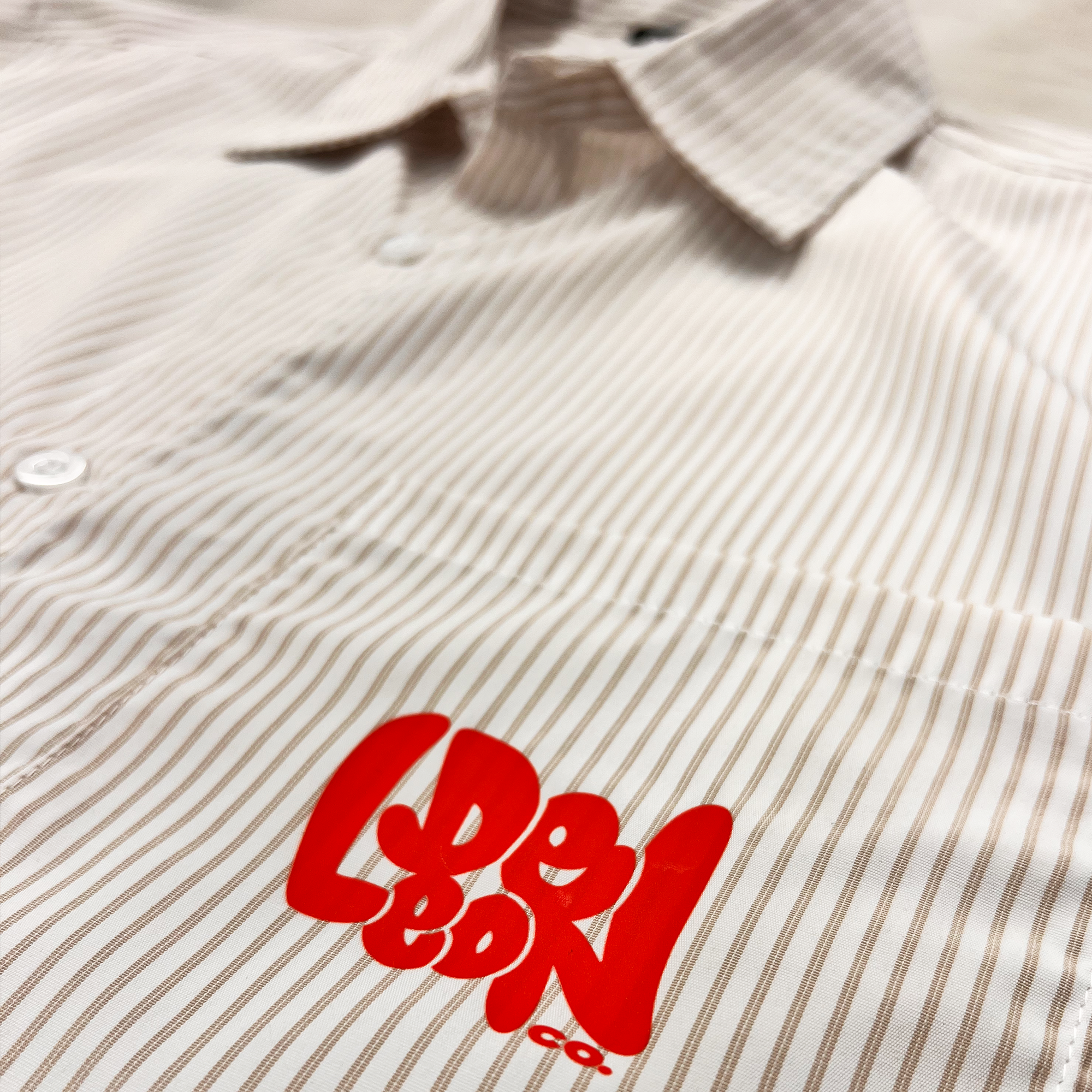 Skull Bear Stripe Boxy Shirt